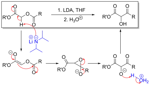 The mechanism of the Chan rearrangement