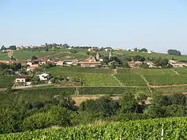 A general view of Chânes