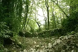 Ruins of the chateau