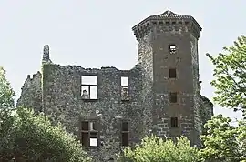 Ruins of the chateau of Branzac