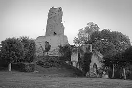 Ruins of the chateau of Mondoubleau