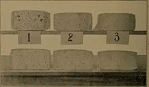 The effect of salt in cheddar cheese making: No. 1, no salt; No. 2, upper row, 1+1⁄2 pounds; lower row, 2 pounds per 100 pounds of curd; No. 3, 3 pounds per 100 pounds of curd