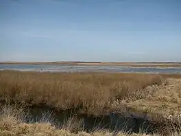 Cheyenne Bottom Marshes