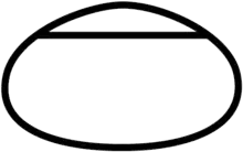 Chicagoland Speedway track layout