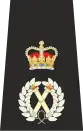 Isle of Man Police Chief Constable Epaulette