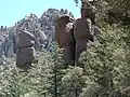 Trees and hoodoos, Chiricahua National Monument