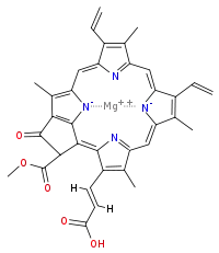 chlorophyll c2