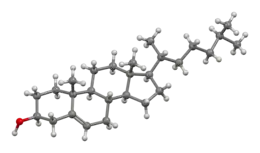 Ball-and-stick model of cholesterol