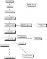 Cholesterol biosynthetic pathway