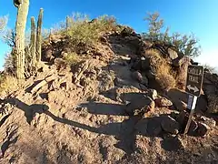 Cholla Trail.