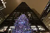 Christmas tree in the plaza in December 2011