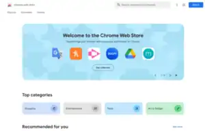 The The Chrome Web Store as seen on Chrome