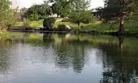 Cibolo Creek in Boerne, Texas