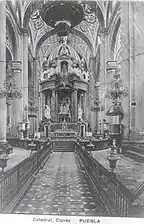 Cypress of the cathedral in 1900.