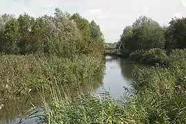 Romelaëre nature reserve