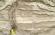 Sheeted clastic dike in Missoula flood slackwater rhythmites at Cecil, Oregon