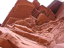 Cliff swallow nests in Utah, US