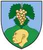 Coat of arms of Vértesszőlős