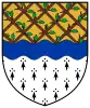 Coat of arms of Bagenalstown