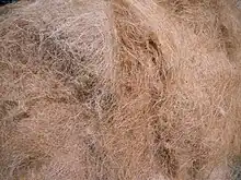 Coir fibre