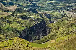 Colca Valley