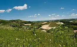 Summer on the hills of Roero