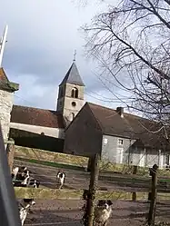 The church and surroundings in Collonge-en-Charollais