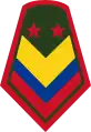 Sargento mayor(Colombian National Army)