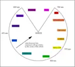 A color circle based on additive combinations of the light spectrum, after Schiffman (1990)