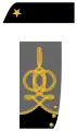 Major (Medical Corps shown)