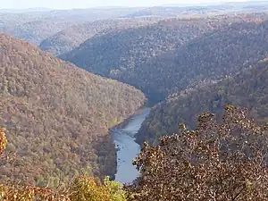 Cheat Canyon, in Coopers Rock State Forest, northeastern West Virginia.