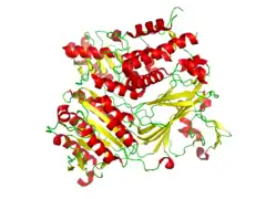 Conformation of the CopII protein that is complexed with the snare protein Sed5 (PDB: 1PD0​).