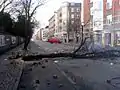 Tree used as a roadblock