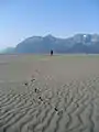 Sand dunes on the Copper River