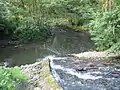 Coul Beck joining the River Leven near Rudby