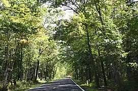 Covered trail section of US 41 south of Copper Harbor, part of the Copper Country Trail