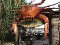 Entrance to The Crab Shack, a popular spot on Tybee Island