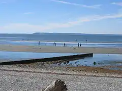 Groyne in Crescent Beach, British Columbia, Canada