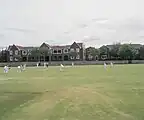 Cricket at Ward Oval