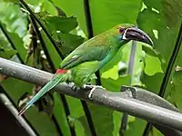 At the San Diego Zoo