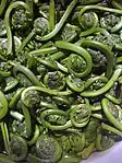 New Brunswick fiddleheads