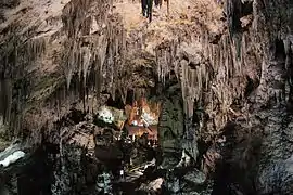 Caves of Nerja