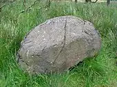 Detail of the rocking stone.