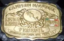 A golden front plate on a championship belt