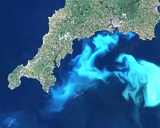 Landsat image of a 1999 E. huxleyi bloom in the English Channel.