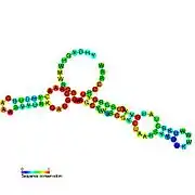 Cyclic di-GMP-I riboswitch:  Secondary structure for the riboswitch marked up by sequence conservation. Family RF01051.