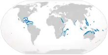 Silvertip shark geographic range