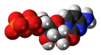 Space-filling model of the Cytidine diphosphate molecule as an anion (3- anion)