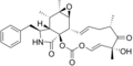 Cytochalasin E