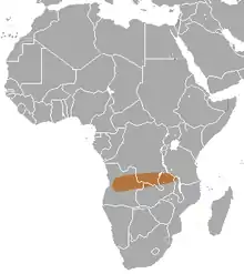 South-central Africa